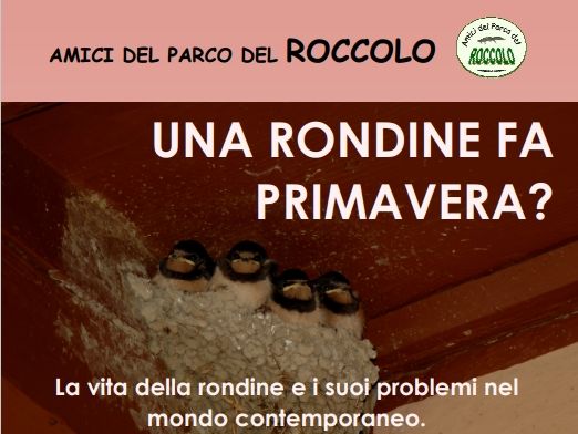 locandina 13-05-2023 una rondine fa primava.jpg