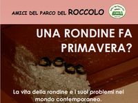 locandina 13-05-2023 una rondine fa primava.jpg