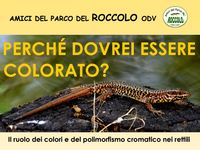 locandina 16 giugno dott. Scali.jpg