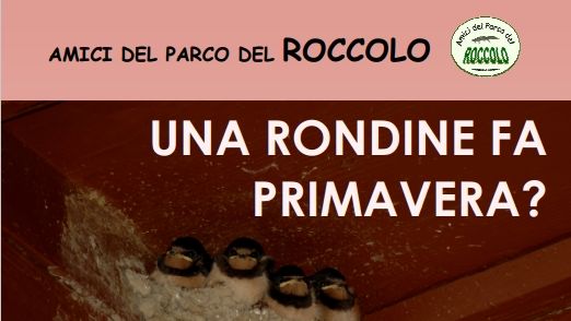 locandina 13-05-2023 una rondine fa primava.jpg