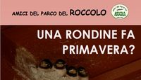 locandina 13-05-2023 una rondine fa primava.jpg
