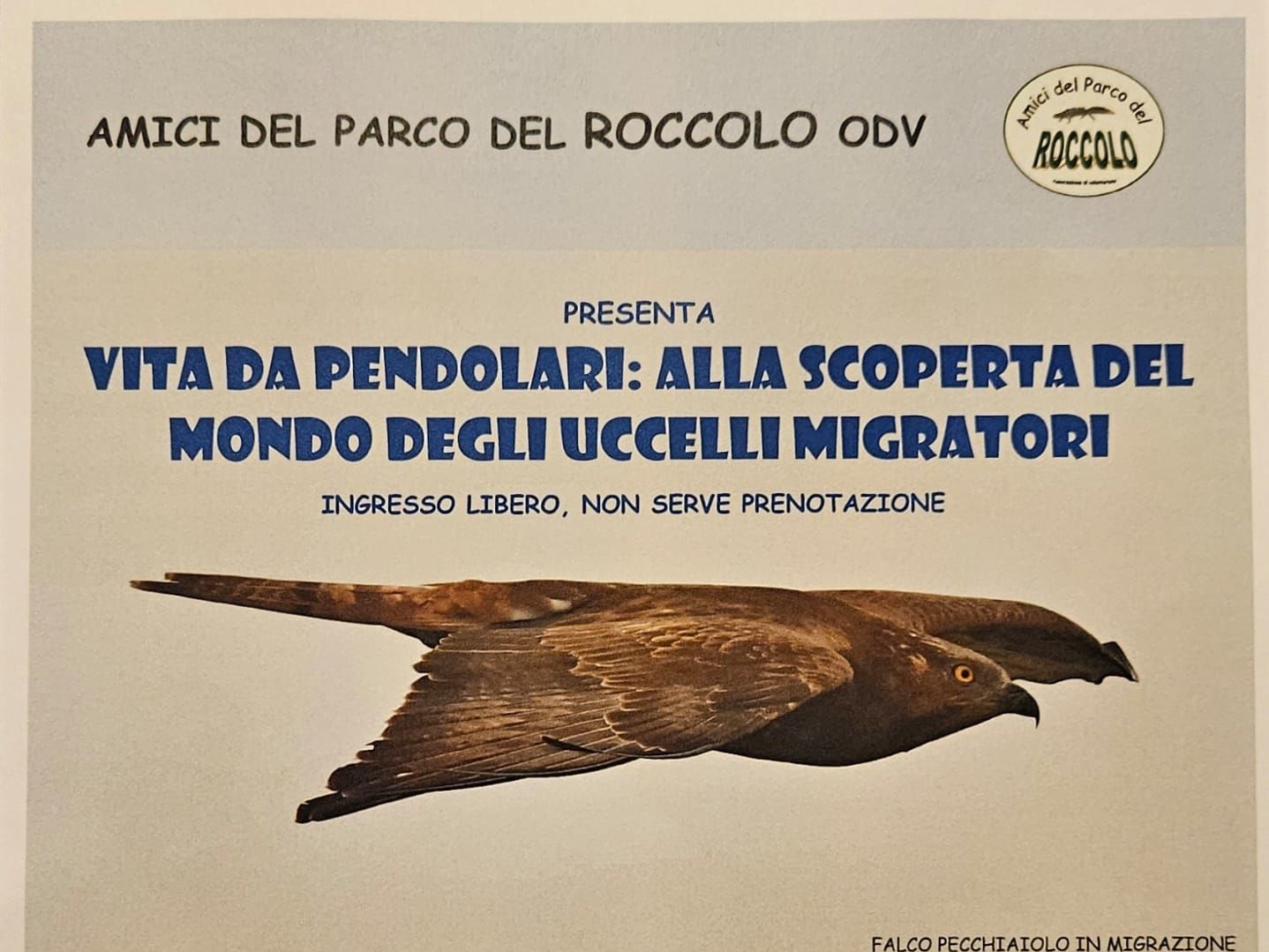 2025-02-15_vita da pendolari.jpg