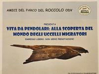 2025-02-15_vita da pendolari.jpg