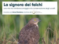 Bergamo 8-3-25.jpg