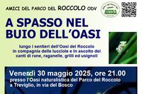 2025_05_30_a spasso nel buio dell Oasi_END.jpg